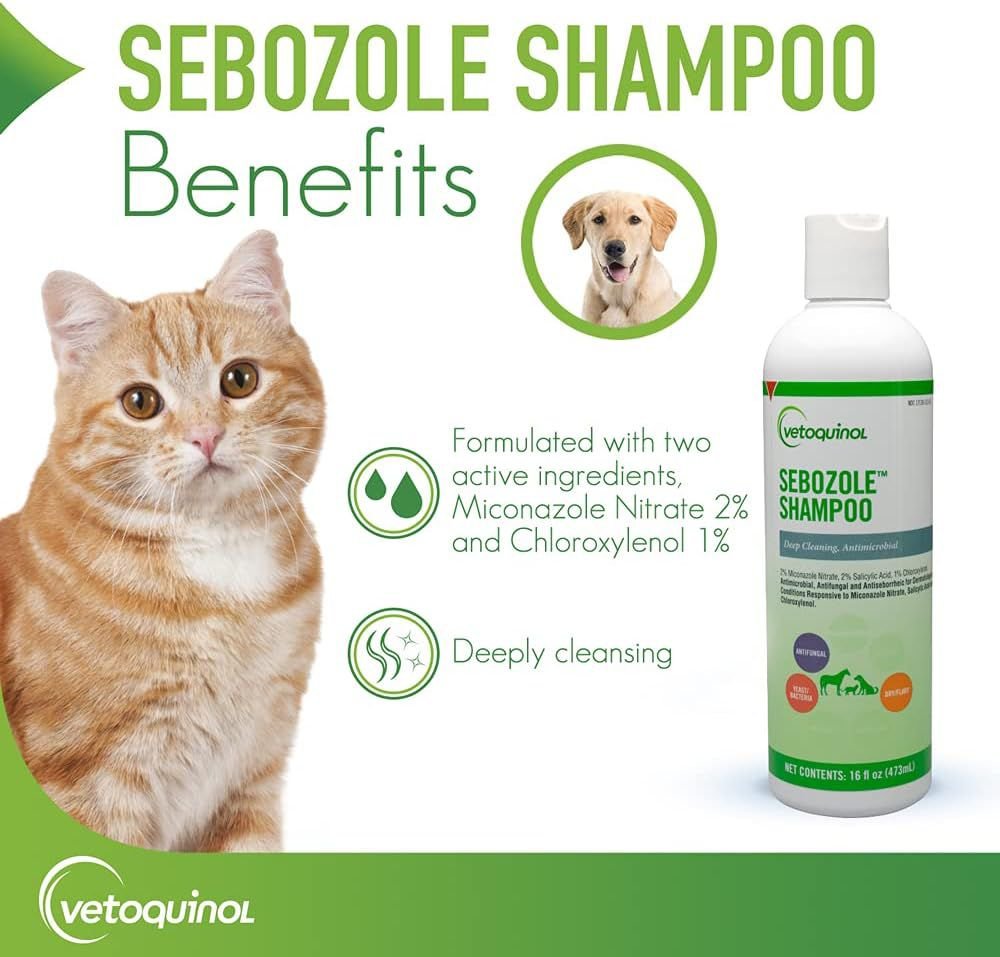 Sebozole medicated outlet shampoo for dogs