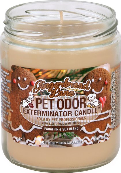 Chewy pet hotsell odor candle