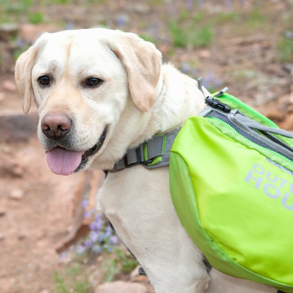 Kyjen Outward Hound Quick Release Dog Backpack Green Small Original