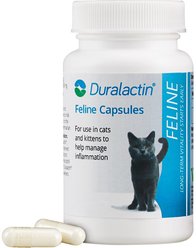 Duralactin Feline Capsules Cat Supplement, 60 count