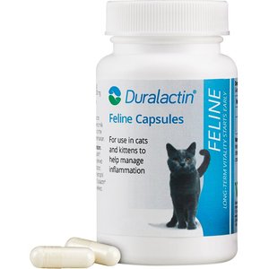 Duralactin Feline Capsules Cat Supplement, 60 count