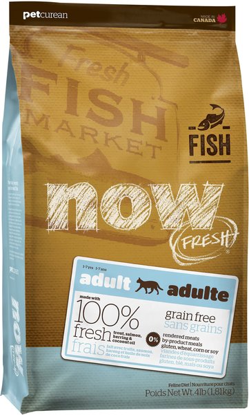 NOW FRESH Grain Free Adult Fish Recipe Dry Cat Food 4 lb bag