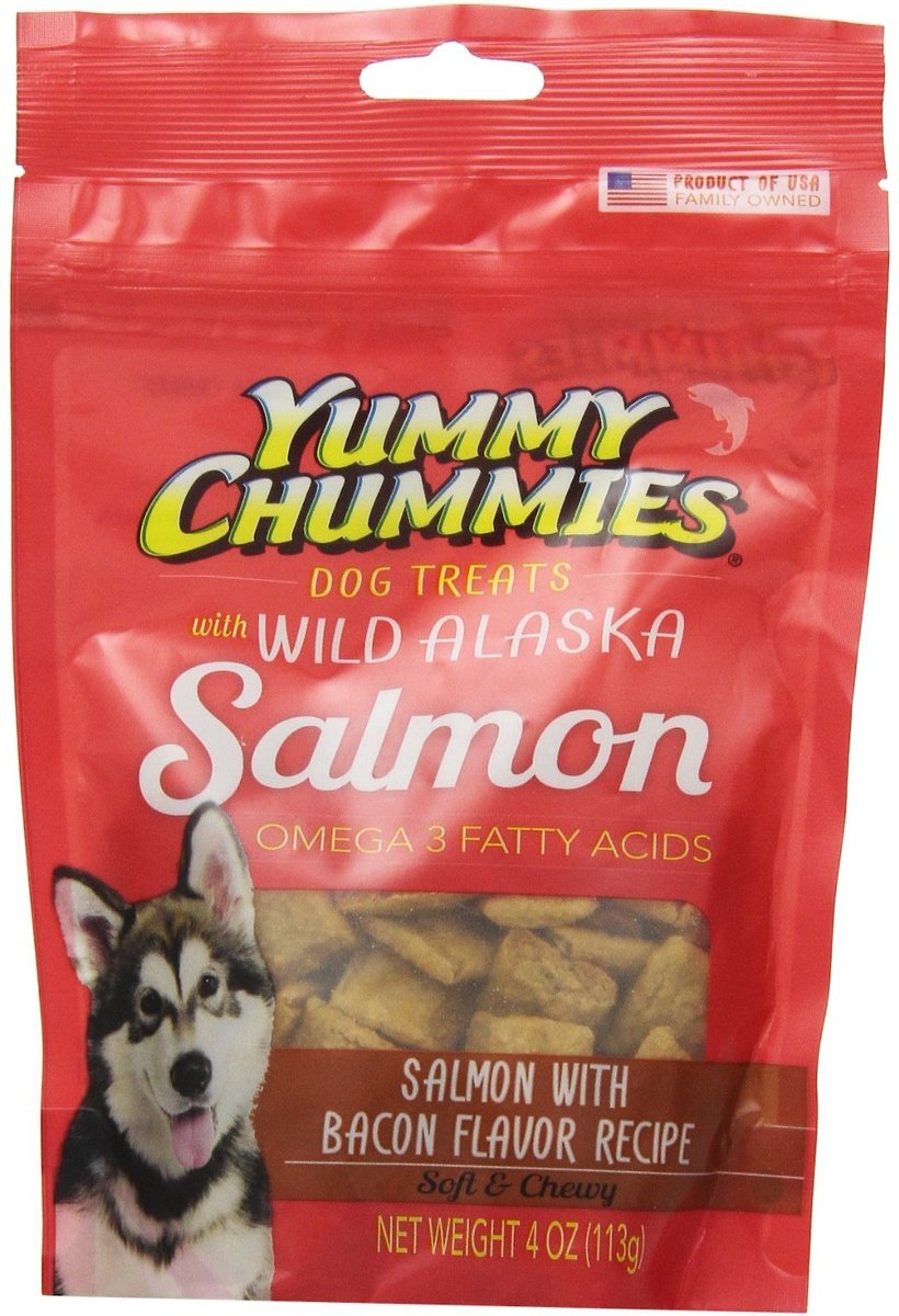 yummy chummy dog treats