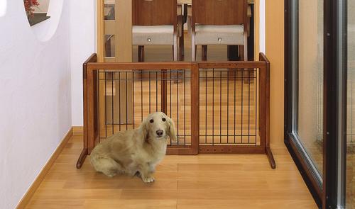 Show full view: Richell Freestanding Gate for Dogs & Cats, Autumn Matte, Small slide 2 of 6