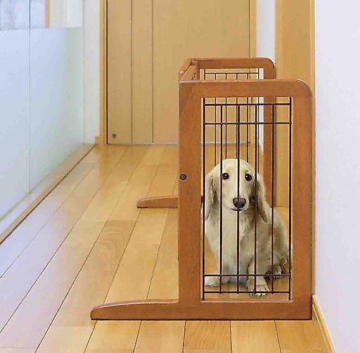 Richell Freestanding Gate for Dogs & Cats, Autumn Matte, Large