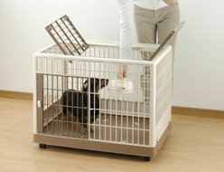 Richell Training Kennel for Dogs & Cats, PK-650