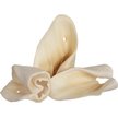 Show in main carousel: Redbarn All-Natural Beef Cow Ears Dog Treats, 4.2-oz bag slide 3 of 11