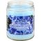 Show in main carousel: Pet Odor Exterminator Blue Serenity Deodorizing Candle, 13-oz jar slide 1 of 1