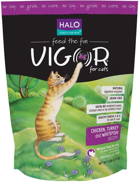 Chewy halo cat outlet food