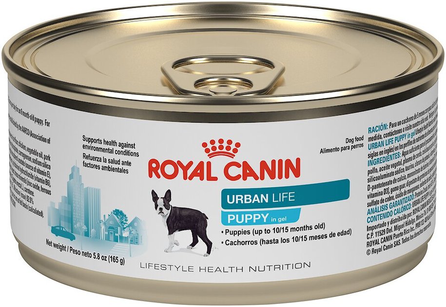 Urban life royal outlet canin