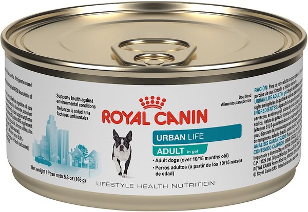 Royal canin urban outlet life adults