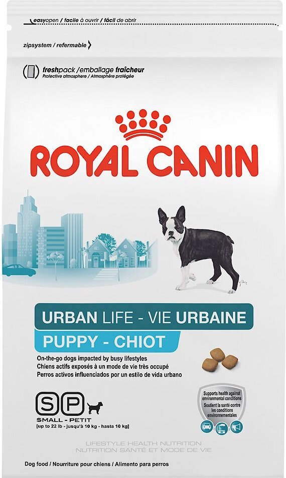 urban life royal canin