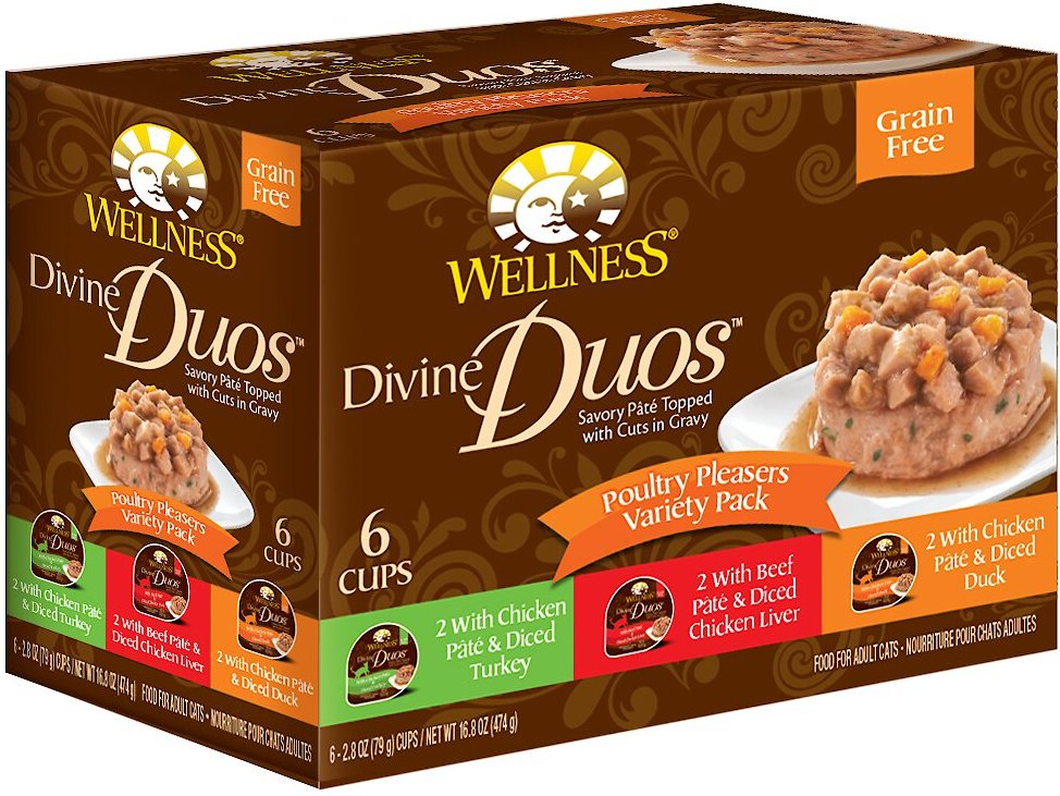 Wellness divine duos cat sale food