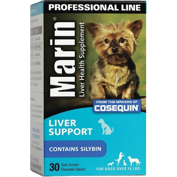 corner glass fish tank