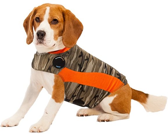 Thundershirt for dog car hot sale anxiety