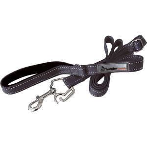 ThunderLeash Nylon Dog Leash, Black, Small: 6-ft long, 0.63-in wide