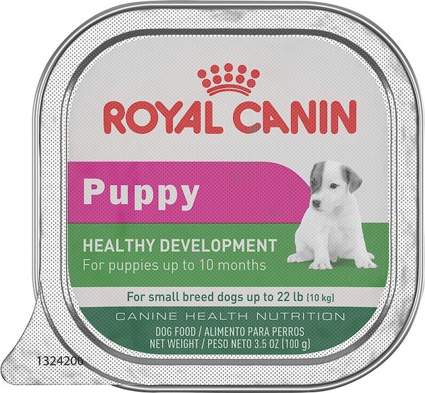 Royal Canin Healthy Development Small Breed Puppy Dog Food Trays, 3.5-oz, case of 24 slide 1 of 4