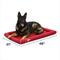 Show in main carousel: MidWest Ultra Durable Bolster Cat & Dog Bed, Brick, 48-inch slide 2 of 5
