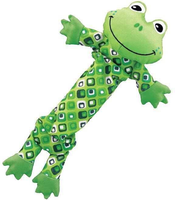 Kong frog on sale dog toy