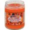 Show in main carousel: Pet Odor Exterminator Pumpkin Spice Deodorizing Candle, 13-oz jar slide 1 of 2
