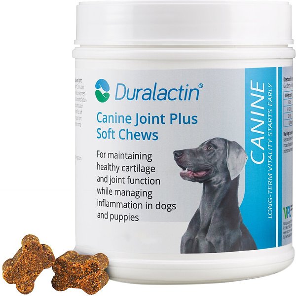 Duralactin Canine Joint Plus Soft Chew Dog Supplement, 60 count slide 1 of 4