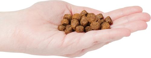 Show full view: Dr. Gary's Best Breed Holistic Large Breed Dry Dog Food, 4-lb bag slide 4 of 8