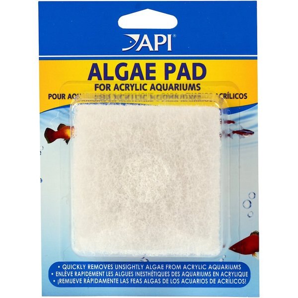 AQUEON Algae Cleaning for Aquariums, Small