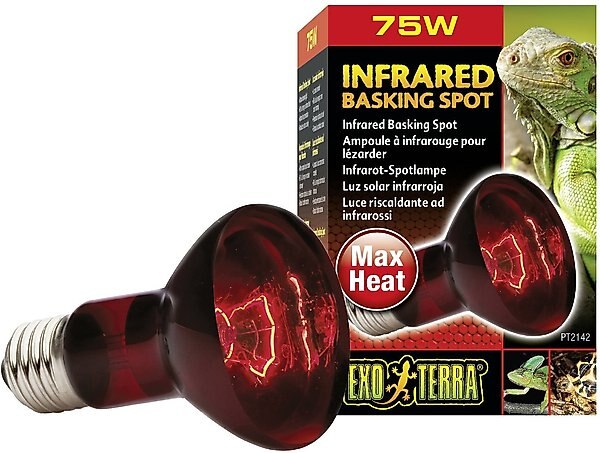 Exo Terra Infrared Basking Reptile Spot Lamp, 75-w bulb slide 1 of 3