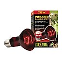 Exo Terra Infrared Basking Reptile Spot Lamp, 75-w bulb