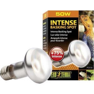 Exo Terra Intense Basking Reptile Spot Lamp, 50-w bulb
