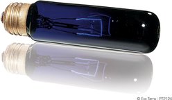 Exo Terra Night Heat Bulb Reptile Lamp, 40-w bulb slide 2 of 2