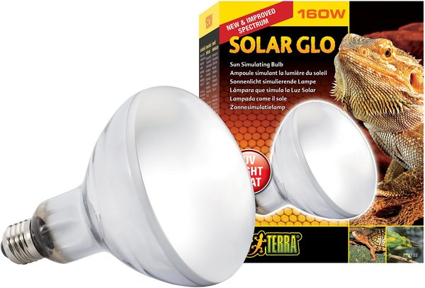 Onvergetelijk geeuwen Iedereen EXO TERRA Solar Glo All in One Reptile Bulb, 160-w - Chewy.com