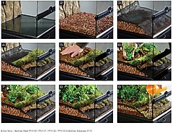 Exo Terra Bio Drain Terrarium Draining Reptile Substrate, 4.4-lb bag slide 2 of 2
