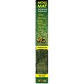 Exo Terra Moss Mat Terrarium Reptile Substrate, 24-in
