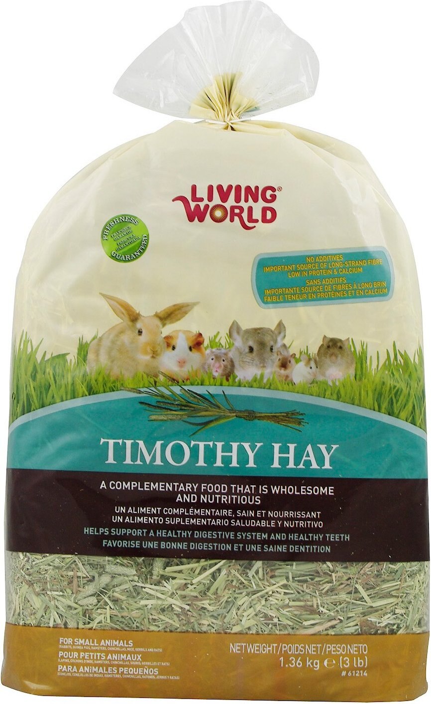 small world timothy hay