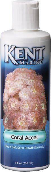 Kent Marine Coral Accel Hard & Soft Growth Stimulator, 8-oz bottle slide 1 of 1