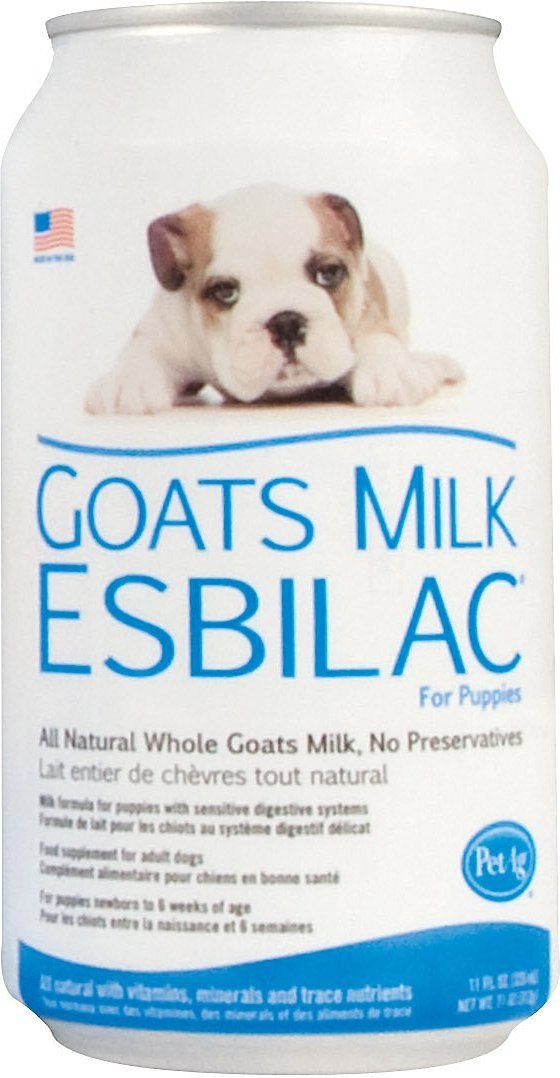 Goats milk outlet esbilac for puppies