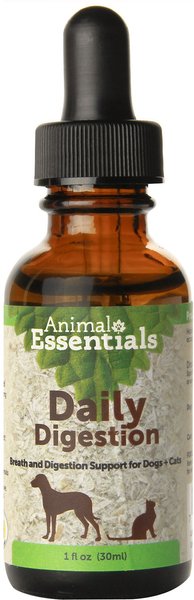 Animal Essentials Daily Digestion Breath & Digestion Support Dog & Cat Supplement, 1-oz bottle slide 1 of 3