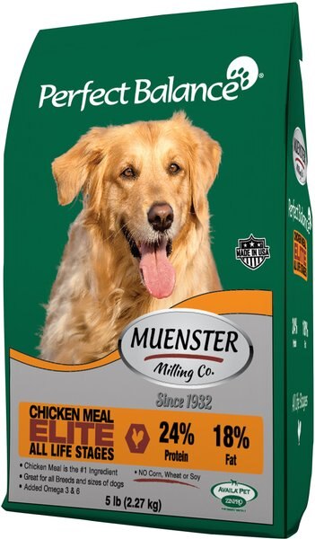 Muenster Perfect Balance Elite Chicken Meal All Life Stages Dry Dog Food