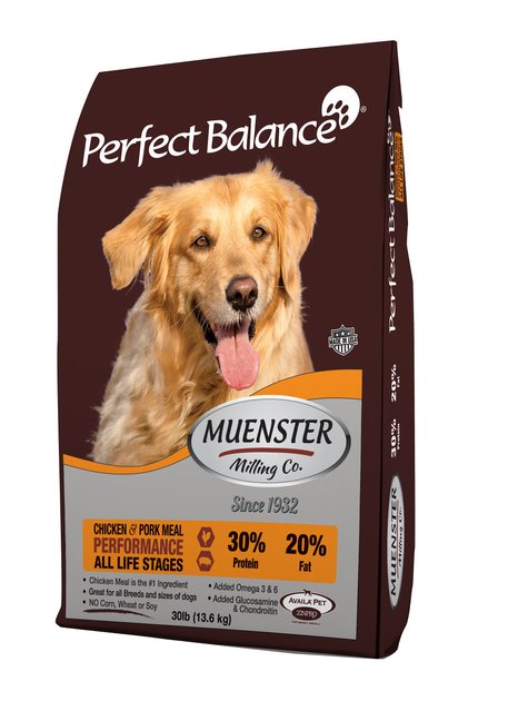 muenster dog food chewy