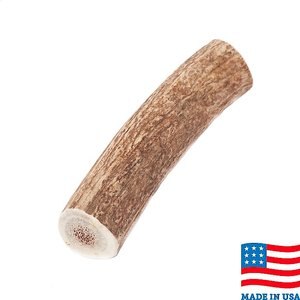 Bones & Chews Made in USA Elk Antler Dog Chew, 9.5+ in, XX-Large