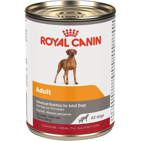 ROYAL CANIN Adult Canned Dog Food, 13.5oz, case of 12