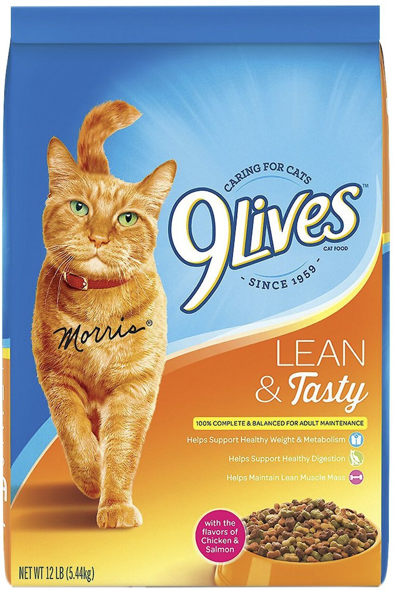 Lean cat outlet food