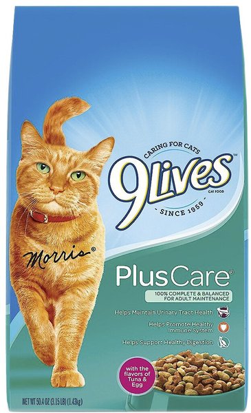 Discontinued - 9 LIVES Plus Care With Tuna & Egg Flavor Dry Cat Food, 3 ...