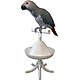 Perches & Toys