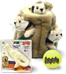 KONG Fire Hose Y-Shape Dog Toy