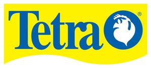 Brand Header