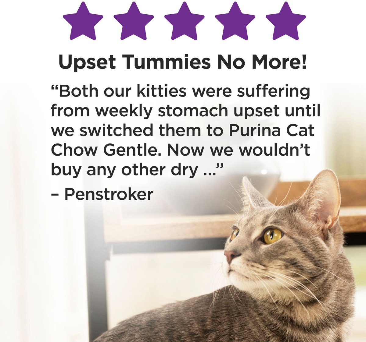 Purina cat chow sensitive sales stomach