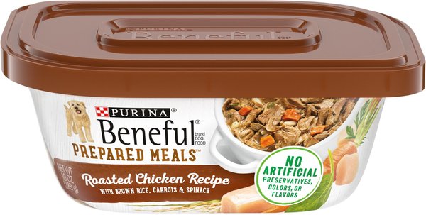 Beneful chewy outlet dog food