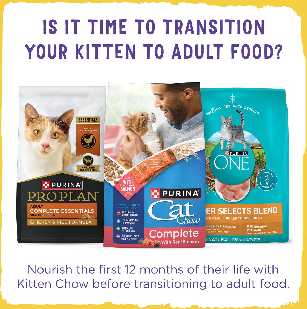 Purina kitten chow 14 lb 2024 bag